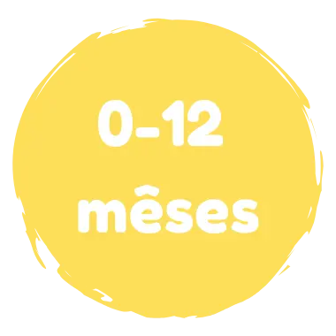 Brinquedo Infantil Idade Bebês (0-12 meses)