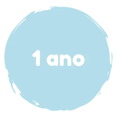 Brinquedo Infantil Idade 1 Ano