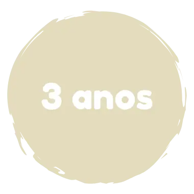 Brinquedo Infantil Idade 3 Anos