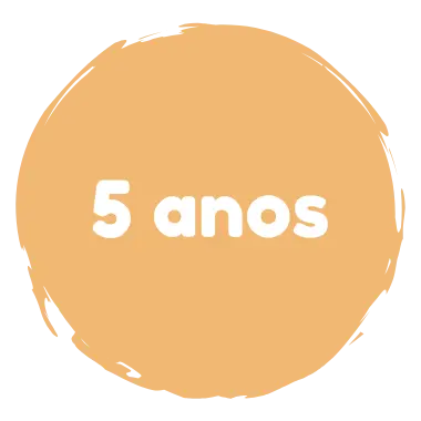 Brinquedo Infantil Idade 5 Anos